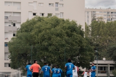 DSC03531