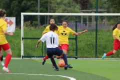IMG_2012