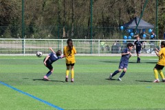 IMG_4865