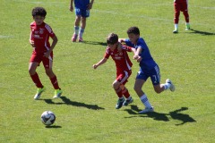 IMG_4882
