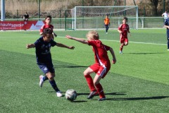 IMG_4890