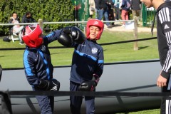 IMG_1616